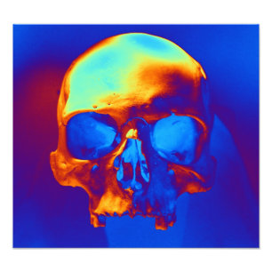Schädel in Blau und Gold Fotodruck