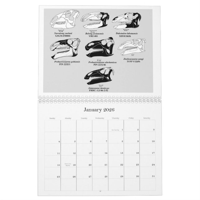 SCHÄDEL-KALENDER 2012 DES KALENDER (Jan 2026)