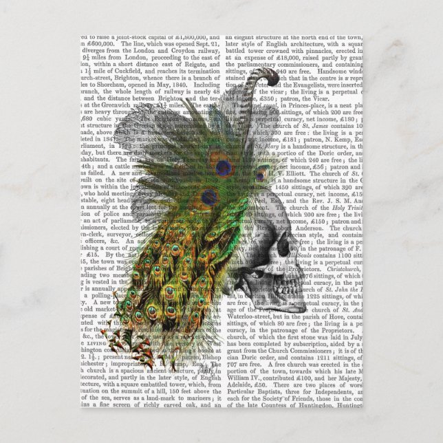 Schädel mit Federhaube Postkarte (Vorderseite)