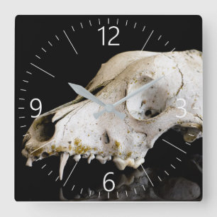 Schädel Quadratische Wanduhr