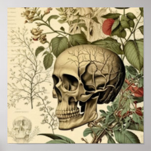 Schädel und Botanik Viktorianisch Poster