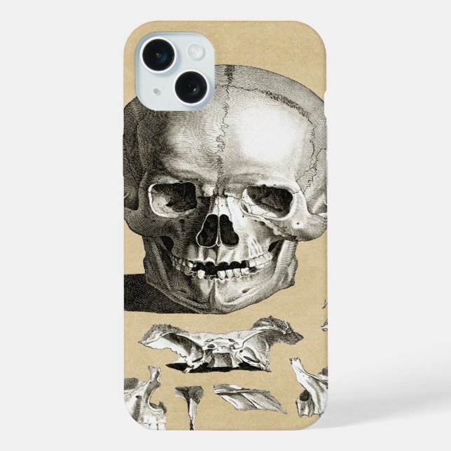 Schädel und Knochen Anatomie iPhone Hülle (Rückseite)