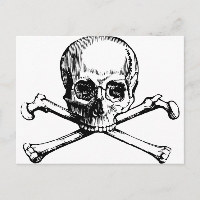 Schädel und Knochen Postkarte (Vorderseite)