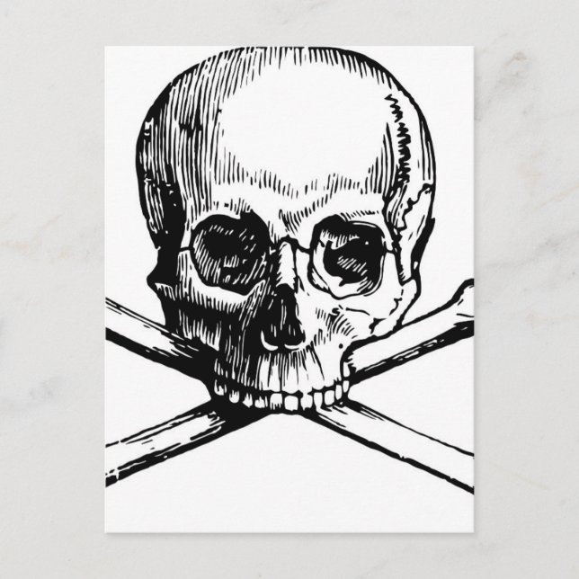 Schädel und Knochen Postkarte (Vorderseite)