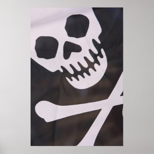 Schädel- und Krebstiftposter Poster