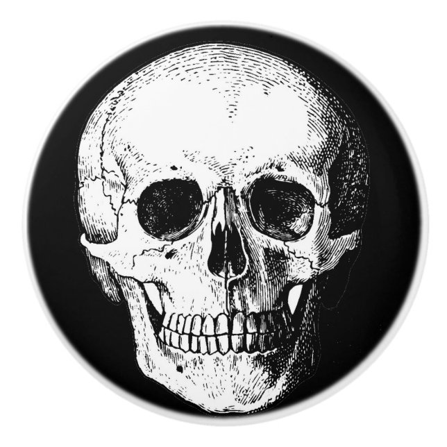 Schädelkabinett-/-möbelgriffe Keramikknauf (Vorderseite)