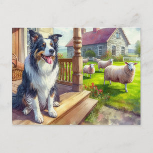 Schaf Farm und Border Collie Postkarte