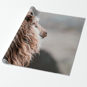 SCHAF GESCHENKPAPIER