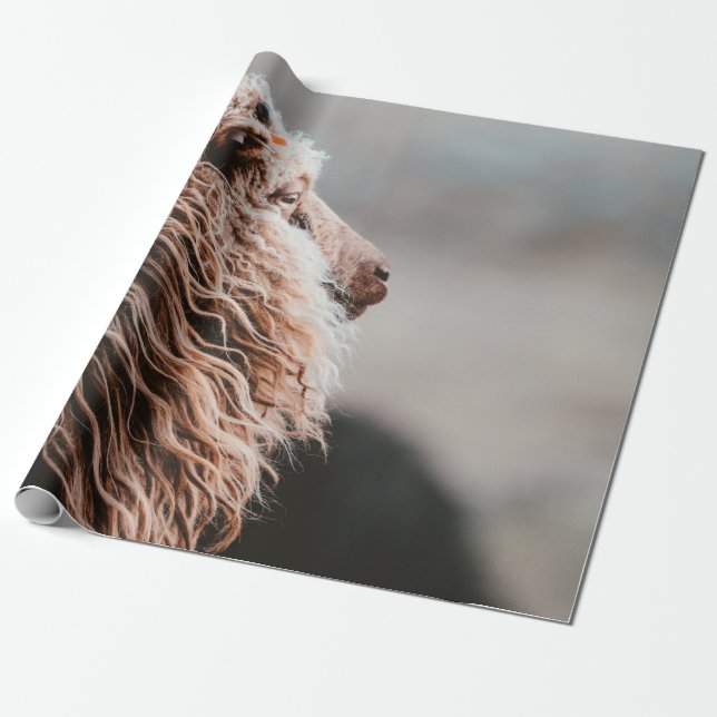 SCHAF GESCHENKPAPIER (Ungerollt)