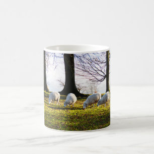 Schaf in der Wintersonne Kaffeetasse
