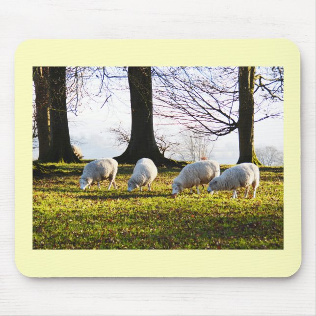 Schaf in der Wintersonne Mousepad (Vorne)