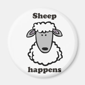 Schaf passiert magnet