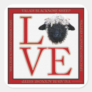 Schaf-Quadrat-Aufkleber Liebe-Wallis Blacknose Quadratischer Aufkleber