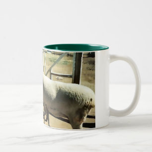 Schaf-Schale Zweifarbige Tasse