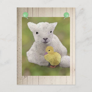Schaf und Küken Postkarte
