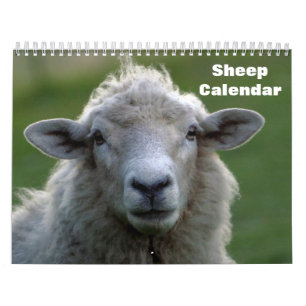 Schafe 2027 kalender