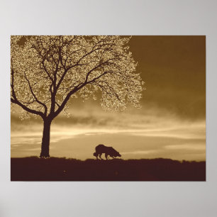 "Schafe auf dem Horizont 3" ~Border Collie-Plakat Poster