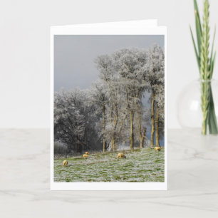 Schafe auf einem frostigen Hügel Feiertagskarte