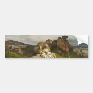 Schafe auf einer Wiese (von August Friedrich Schen Autoaufkleber