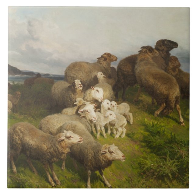 Schafe auf einer Wiese (von August Friedrich Schen Fliese (Vorderseite)