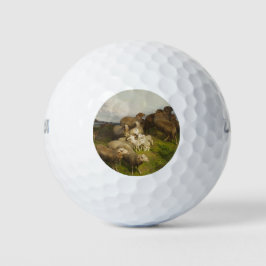 Schafe auf einer Wiese (von August Friedrich Schen Golfball