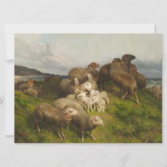 Schafe auf einer Wiese (von August Friedrich Schen Karte (Vorderseite)