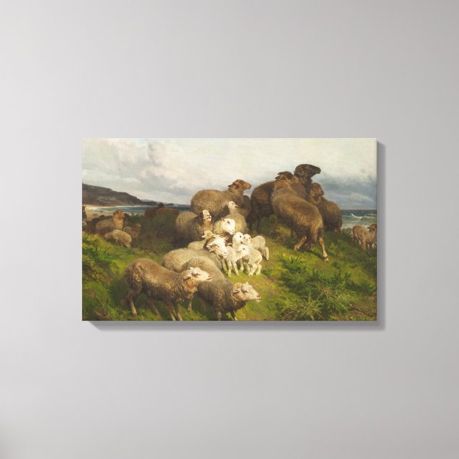 Schafe auf einer Wiese (von August Friedrich Schen Leinwanddruck (Vorderseite)