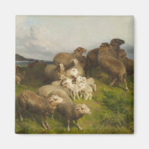 Schafe auf einer Wiese (von August Friedrich Schen