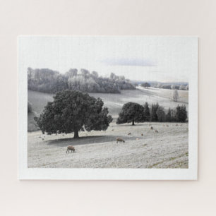 Schafe auf frostigem Feld