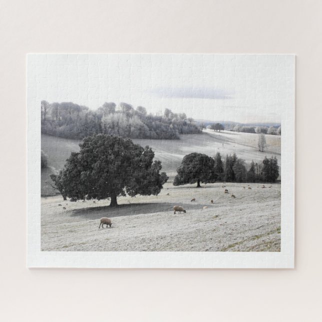 Schafe auf frostigem Feld (Horizontal)