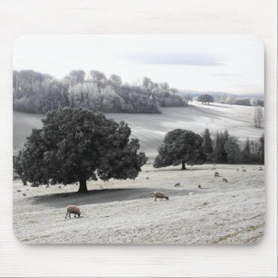 Schafe auf frostigem Feld Mousepad