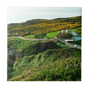 Schafe bei Irland Fliese