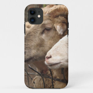 Schafe Case-Mate iPhone Hülle
