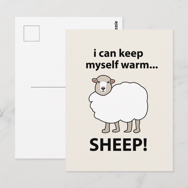 Schafe, die ich mir selbst wärmen kann postkarte (Vorne/Hinten)