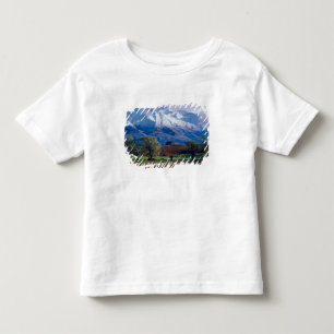 Schafe grasen unterhalb des schneebedeckten Harris Kleinkind T-shirt