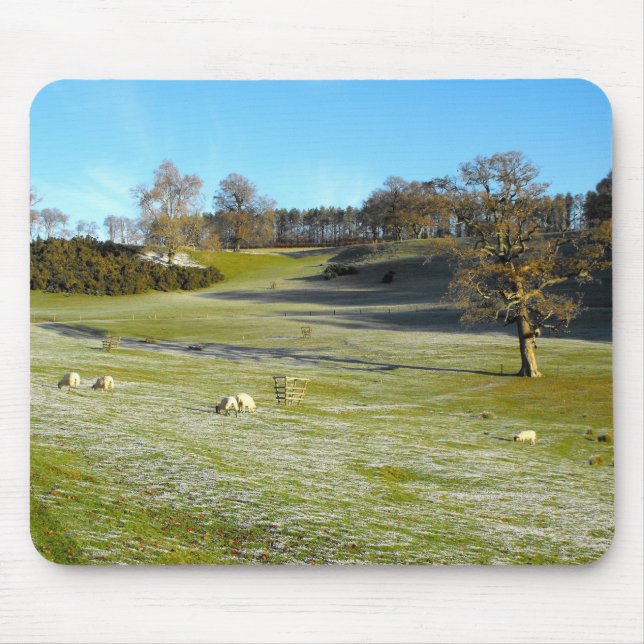Schafe im frostigen Tal Mousepad (Vorne)
