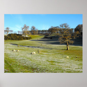 Schafe im frostigen Tal Poster