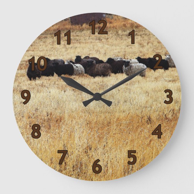 Schafe im Herbst Gras Große Wanduhr (Vorderseite)