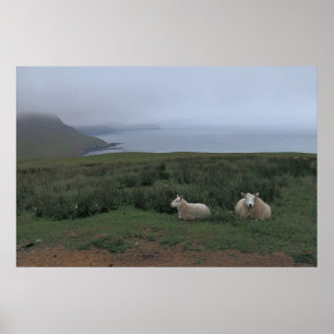 Schafe im Nebel Poster