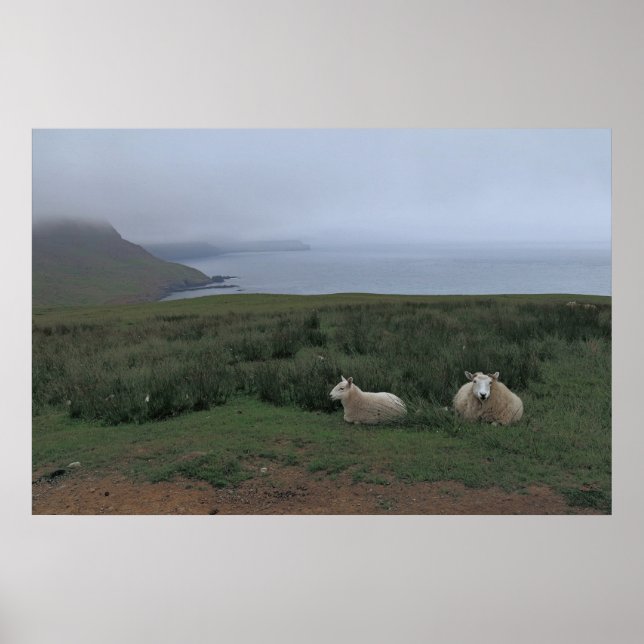 Schafe im Nebel Poster (Vorne)