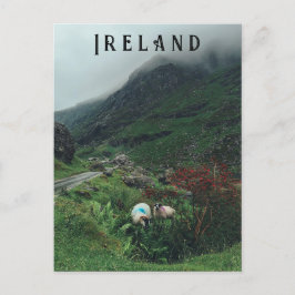 Schafe im Nebel Postkarte