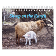 Schafe im Ranch-Kalender