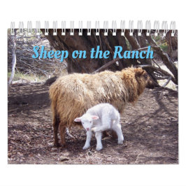 Schafe im Ranch-Kalender Kalender