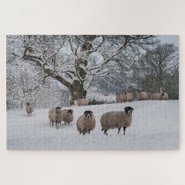 Schafe im Schnee   (Horizontal)