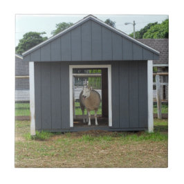 Schafe in BarnHouse Tile Fliese