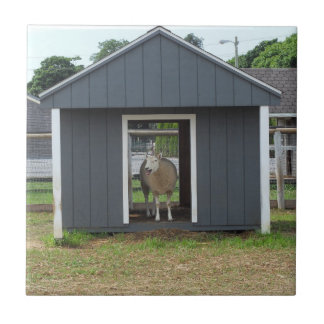 Schafe in BarnHouse Tile Fliese