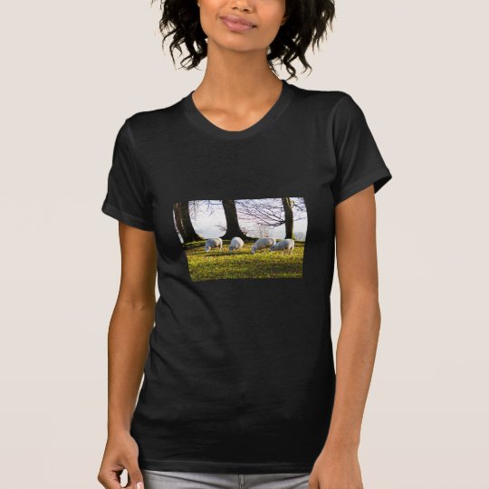 Schafe in der Wintersonne T-Shirt