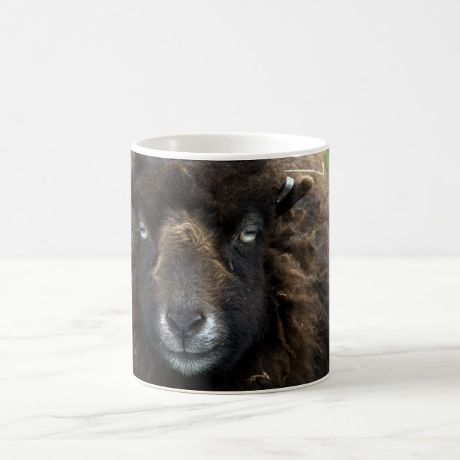 Schafe Kaffeetasse (Mittel)