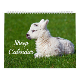 Schafe Kalender