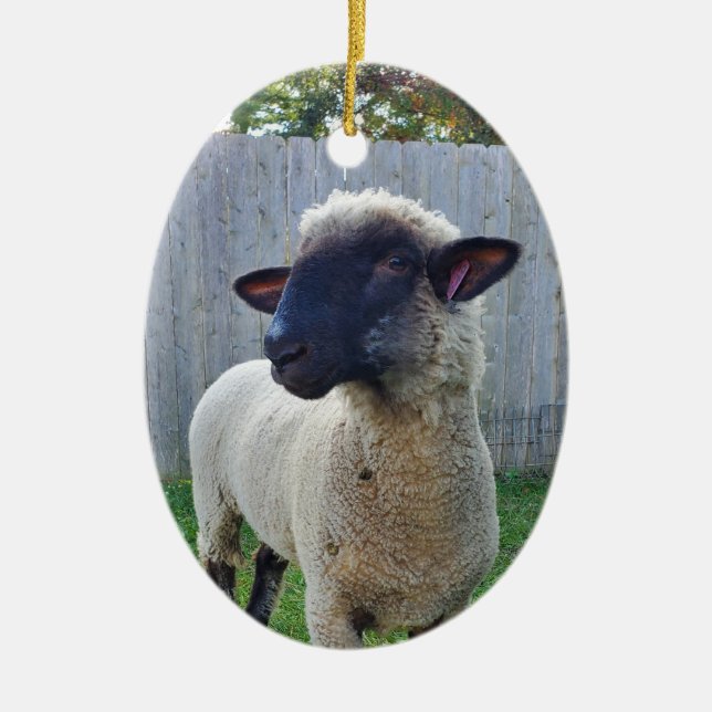 Schafe Keramik Ornament (Vorne)